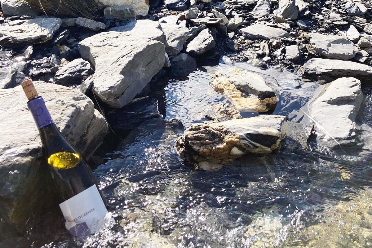 Domaine Agnes Paquet wine in a small stream