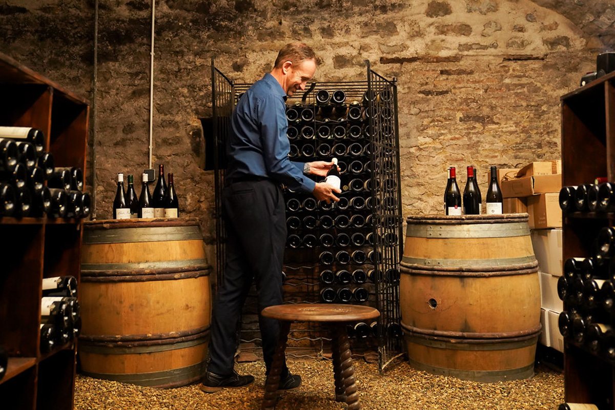 Choosing your wines in the wine cellar