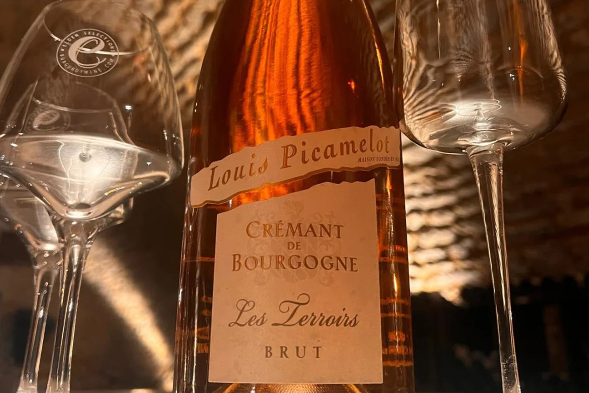 Spotlight on Louis Picamelot