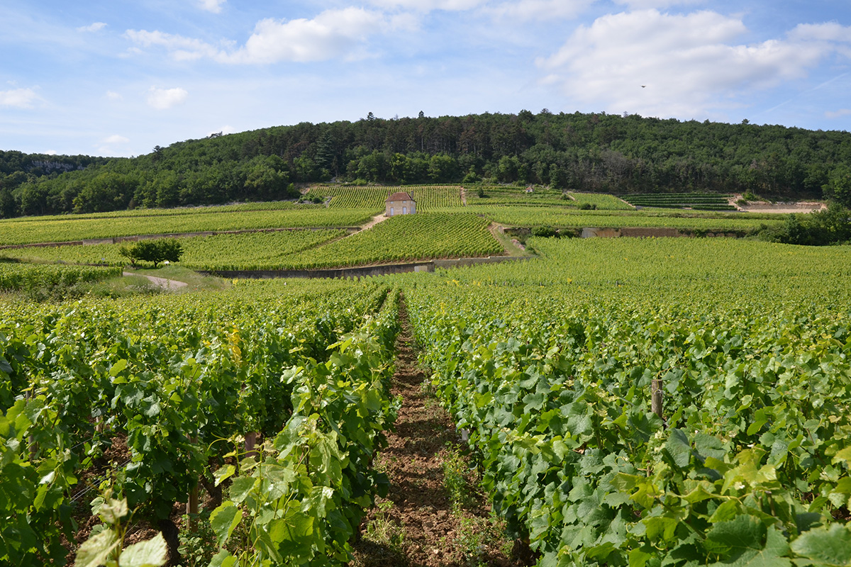 Gevrey-Chambertin: Plan your Getaway Vacation