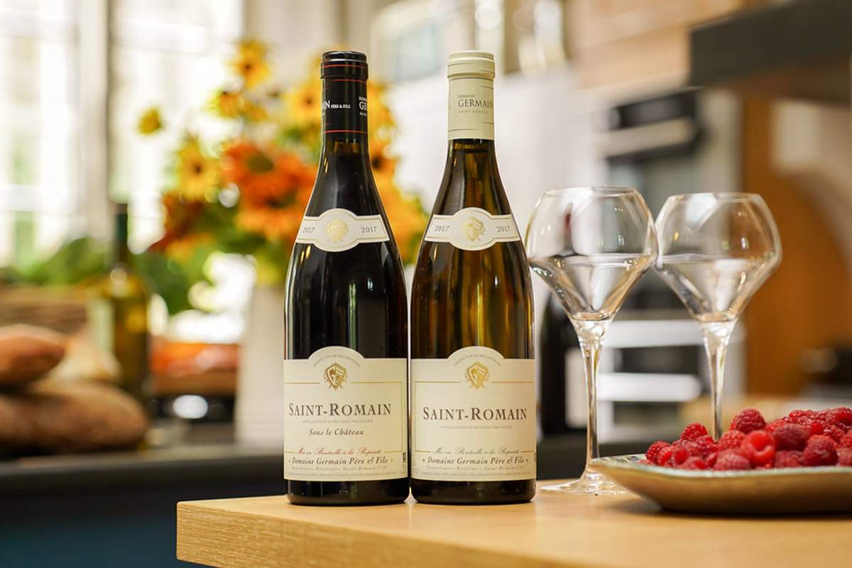 Ideal Wine Temperatures for Each Type of Wine