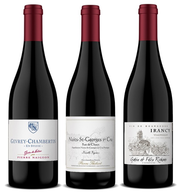 Juicy, Floral Red Burgundy Wines - burgndywine.com's Palate Advisor Tool
