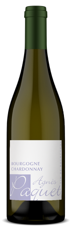 Agnes Paquet Bourgogne Chardonnay 2023 1