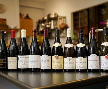 INTRODUCTION TO BURGUNDY MIXED CASE 1