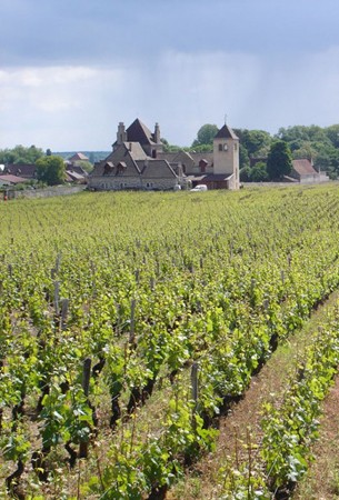 EXPERIENCE CÔTE DE NUITS REGION MIXED CASE 1