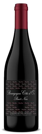 Domaine Michel Arcelain Bourgogne 2020 1