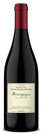Domaine Marchand Freres Bourgogne Cote dÓr Rouge Cuvee Eline 2022 1