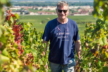 DOMAINE MARCHAND FRERES 2021 MIXED CASE 1