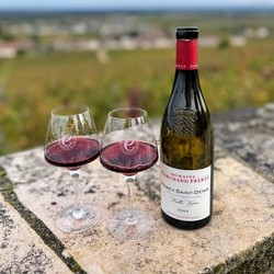 DOMAINE MARCHAND FRERES MOREY ST. DENIS VIELLES VIGNES VERTICAL 6-PACK