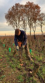 MICHEL ARCELAIN 2012 SPOTLIGHT MIXED 6-PACK