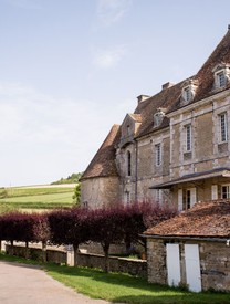 CHATEAU CARY POTET WHITE 2022 MIXED CASE