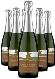 DOMAINE BORGEOT CREMANT DE BOURGOGNE - SIX PACK