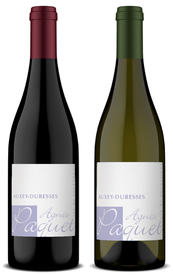 AGNES PAQUET AUXEY-DURESSES 2022 MIXED 6-PACK