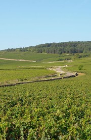 DISCOVER POMMARD 6-PACK