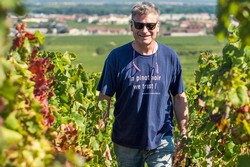 DOMAINE MARCHAND FRERES 2021 MIXED CASE